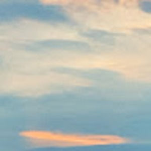 Meet your Posher, Lilly